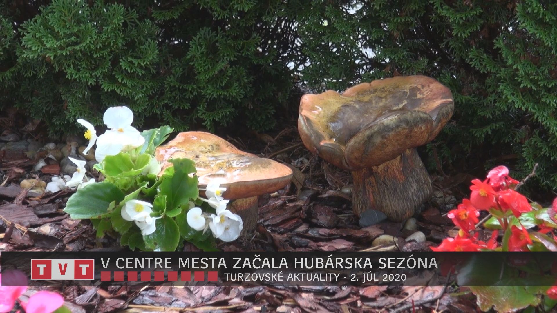 V CENTRE MESTA ZAČALA HUBÁRSKA SEZÓNA